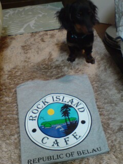 コースタルダイニング coastal dining-ロックアイランドカフェのTシャツ