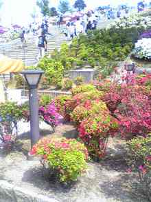070505_100509.jpg