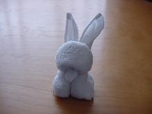 前歯うさぎ