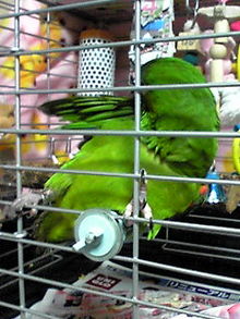 080509_1618~03.JPG