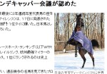 ディープインパクト 世界1位タイ