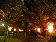 200604172039000.jpg