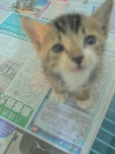ご