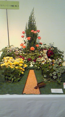 200811091155000.jpg