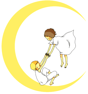 ♪笑顔と感謝日記♪～幸せ風水生活～-月夜の飛行