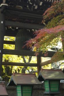 AA