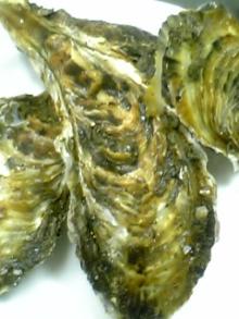 06-01-19_15-03.jpg