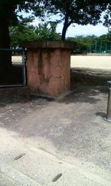 20060629110559.jpg