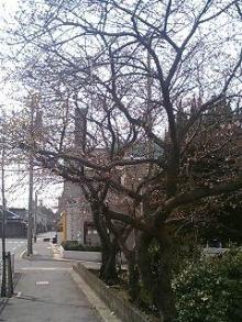 060328_1510~0001.jpg
