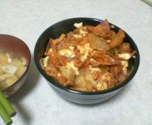 キムチ丼？