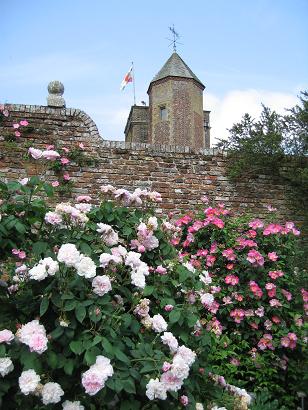 English garden