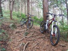 MTB