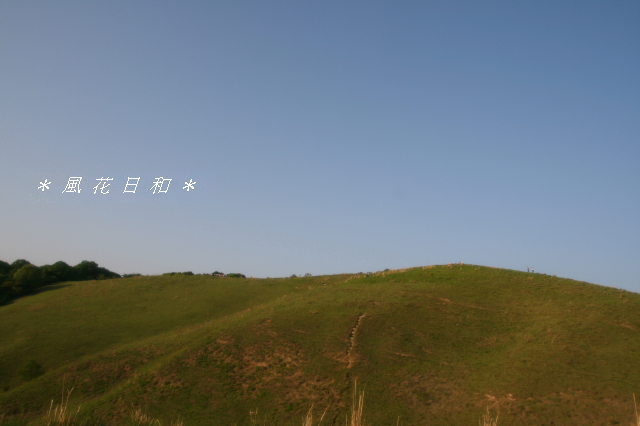 若草山