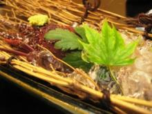 20080420_06