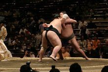出羽鳳2005五月全勝対決_3