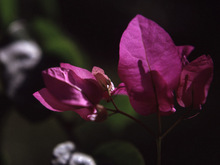 058