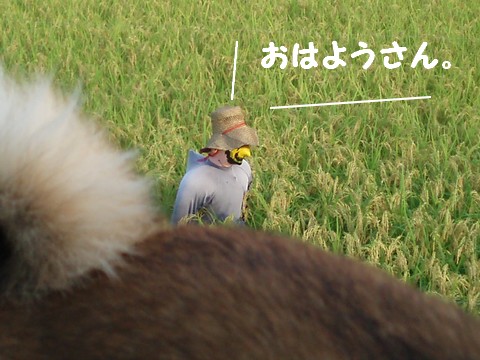 おはようさん