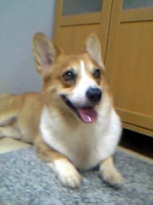 20060820_1