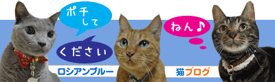 クリックしてね