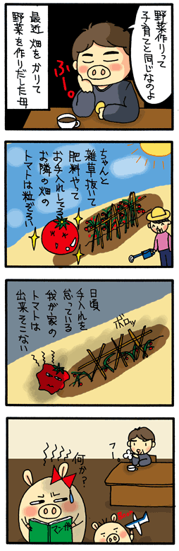 家庭菜園(080207)