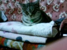 200610022217000.jpg