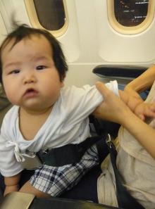 mini seatbelt