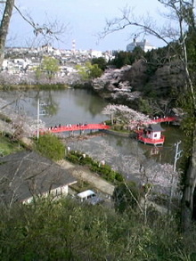 080329_1513~010001.JPG