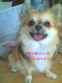 200807162021000.jpg