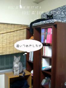 ほんだな