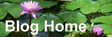 blog home