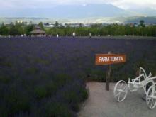 furano