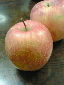 NEC_0092.jpg