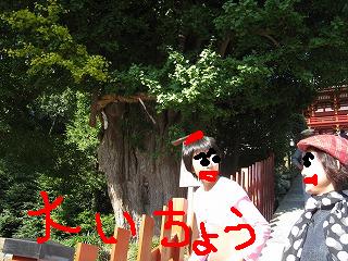 ごっつぁんです