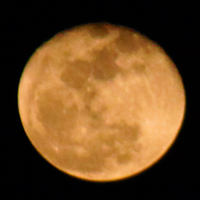 ノノ352日-moon