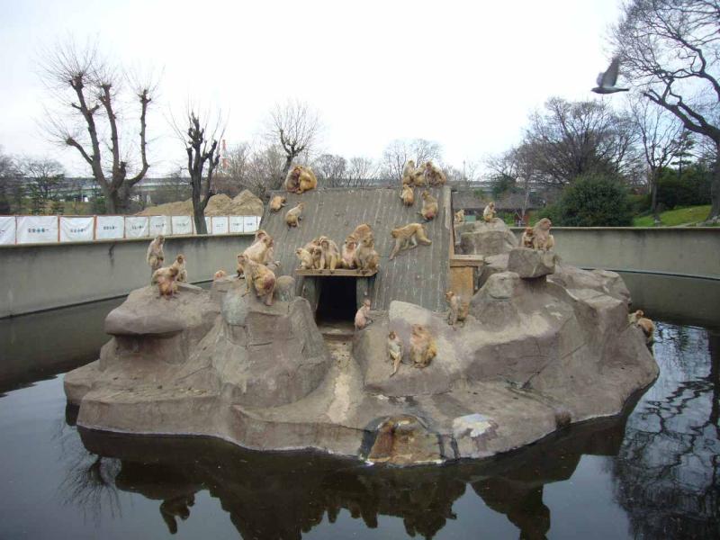 大浜公園　猿島