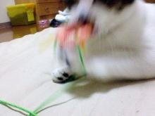 ぶわっ！