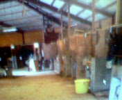 NEC_0194.jpg
