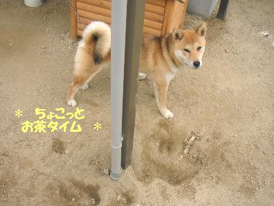 200707040208.JPG
