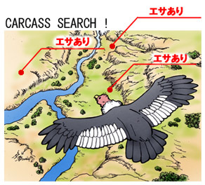 上空からサーチ