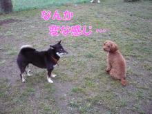 変な感じ