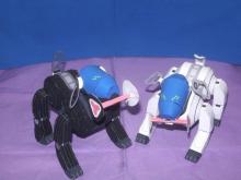 black＆white　aibo