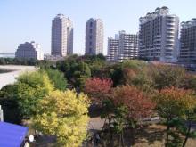 お台場海浜公園　