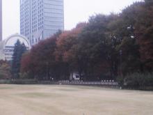 紅葉３