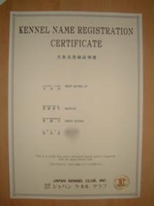 20050908_0