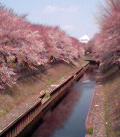 060327_114623.jpg