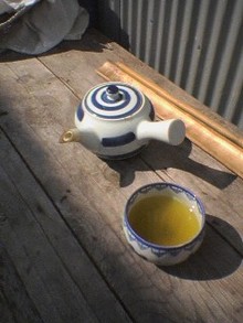 080429_1434~01.jpg