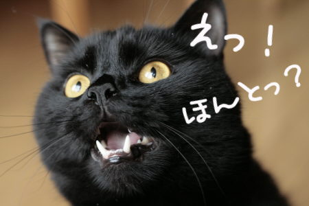 やまと