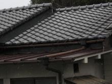 福山在住