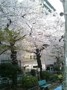 060401_1443~0001.jpg