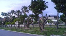 080508_1859~01_0001.jpg